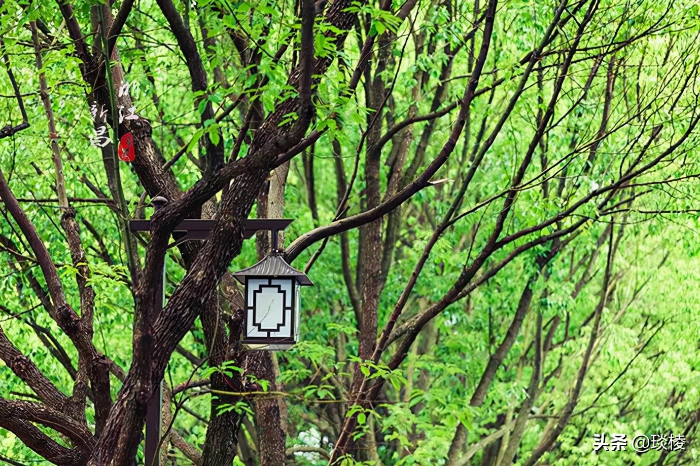耗尽三生三世,造就的江南第一大佛,竟是“减肥”版的石窟弥勒