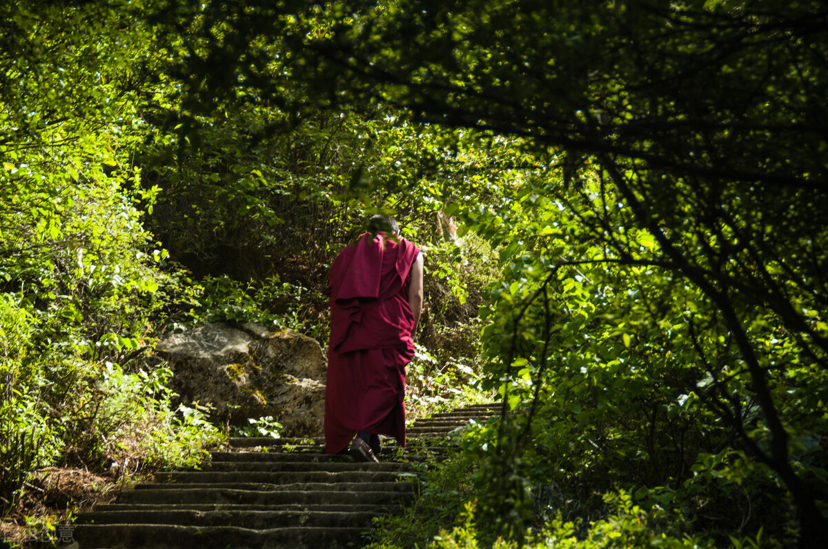 新昌大佛寺佛教发祥地,新昌大佛寺属于什么佛教