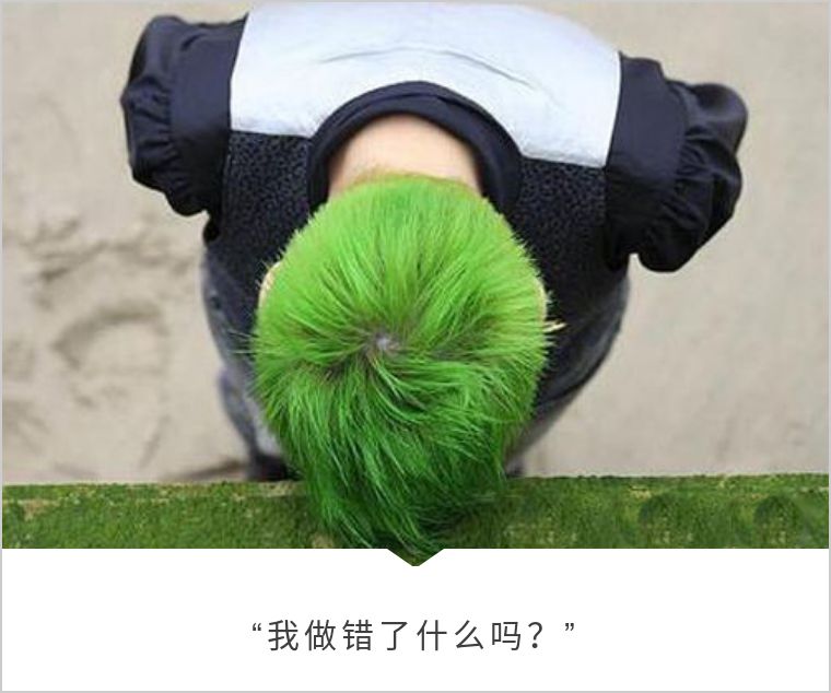 先造景再爆藻还是先爆藻再造景,先造景还是先养水