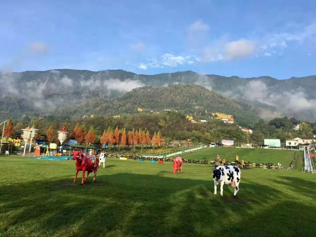 成都市内泡汤温泉第一名,成都周边温泉谷