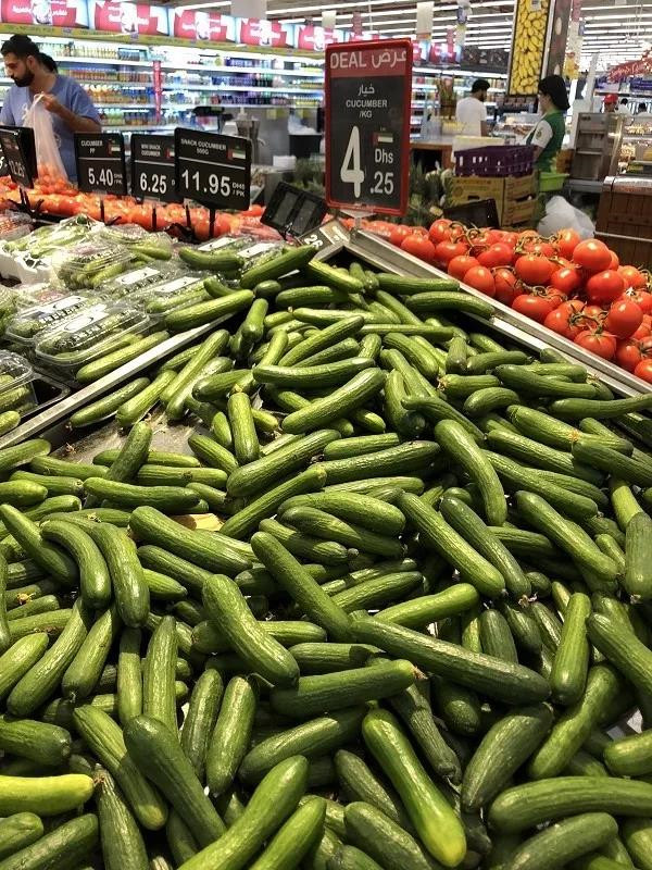 在迪拜生活到底贵不贵,迪拜打车贵不贵