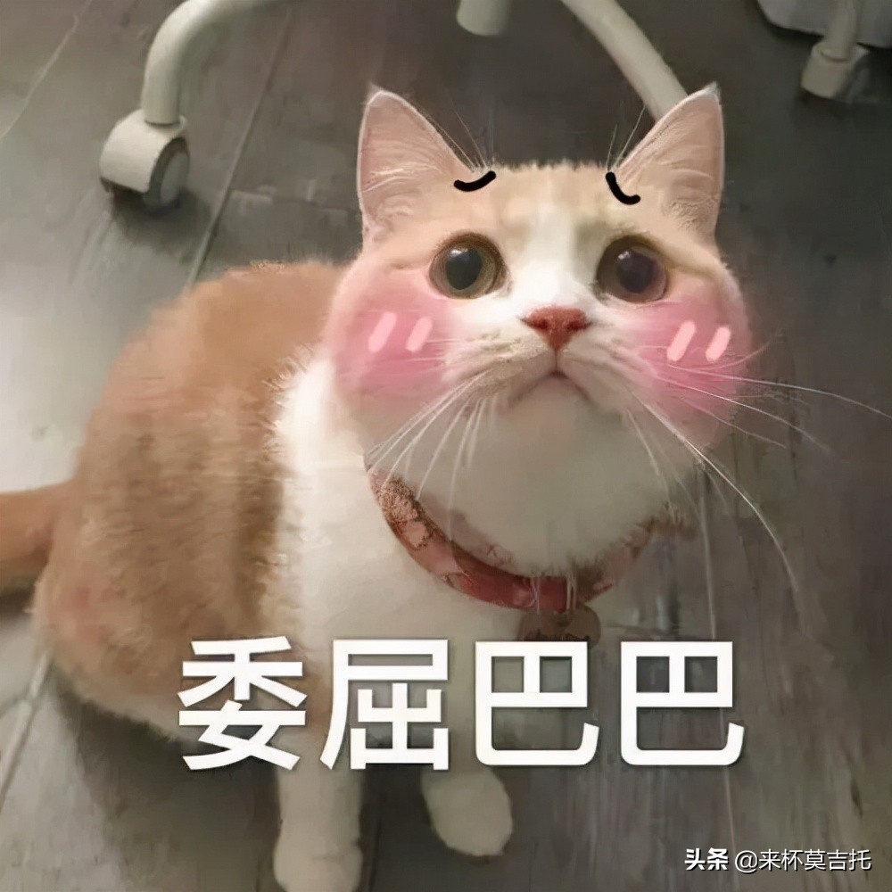 新手入门吉他怎么选择,初学吉他如何选琴视频