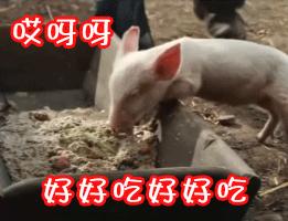 日本最近非常流行的网红零食,卖疯了食品