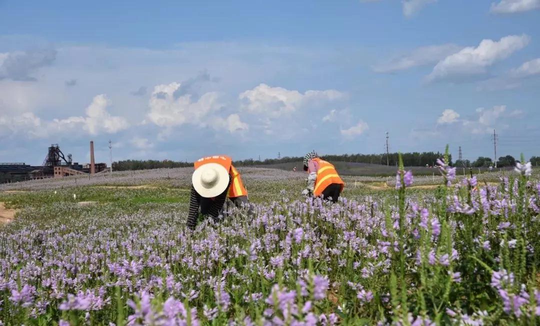 开平之美,开平的风景视频