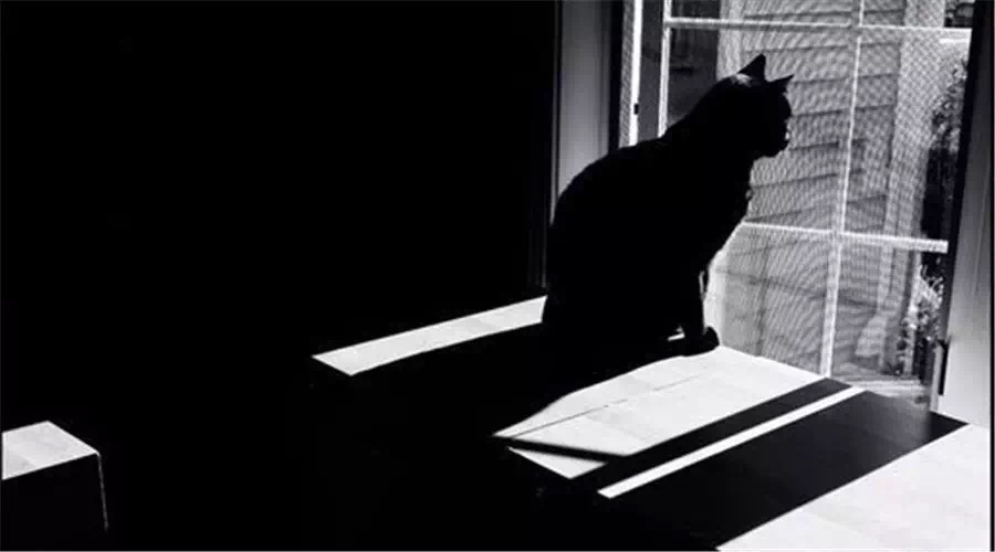 情感美文英文,情感美文是什么