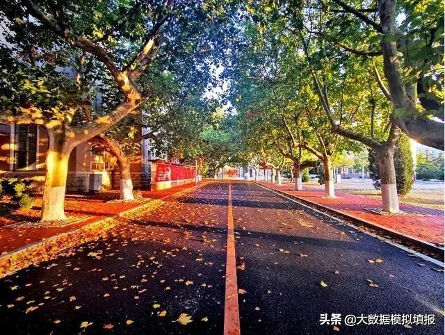 大数据带你看大学（七）-大连海事大学