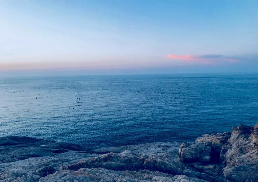 三亚和青岛旅游哪里好,三亚和青岛哪个好玩