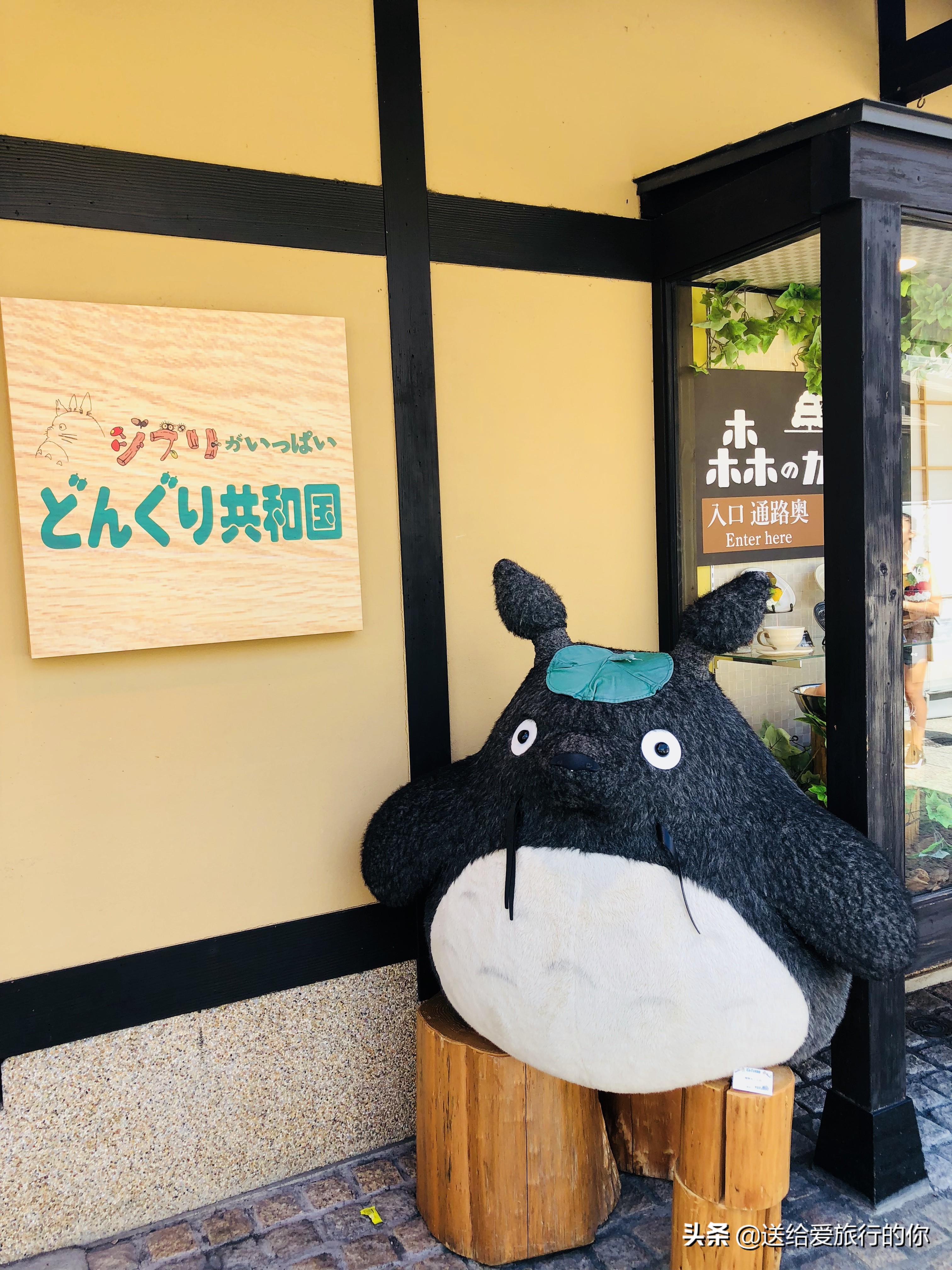 在日本生活一天,日本六天五晚东京