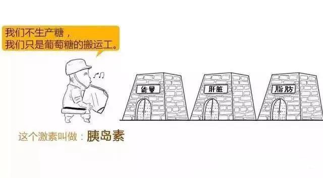 干细胞治疗糖尿病的前景,干细胞疗法治疗糖尿病评价