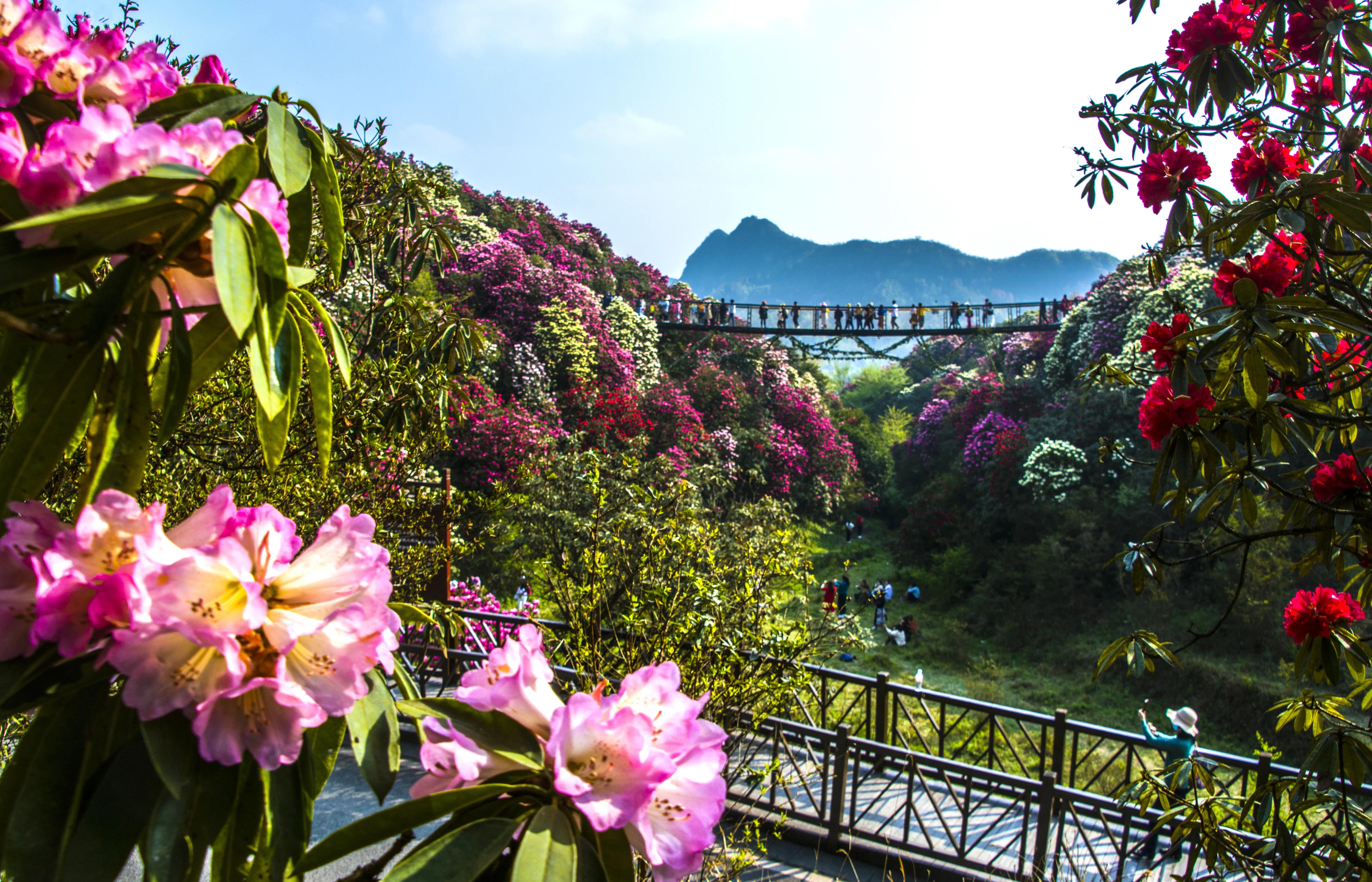 贵州大学1984级管科系同学欢聚毕节录