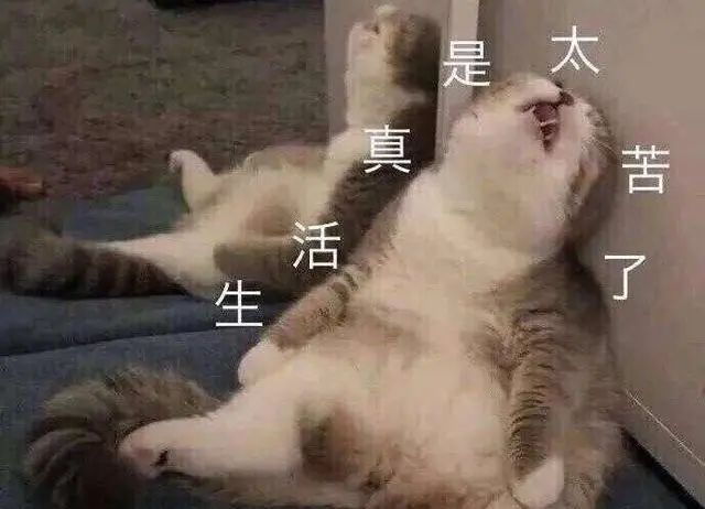 金融工作一年薪水谈多少,金融平均年薪