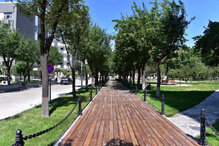 最独特的身份证,中国最有名身份证