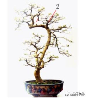 名师讲堂节选视频,名师课例分享及研讨交流