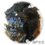 怎么判断婴儿大便是否正常,观察宝宝大便的知识