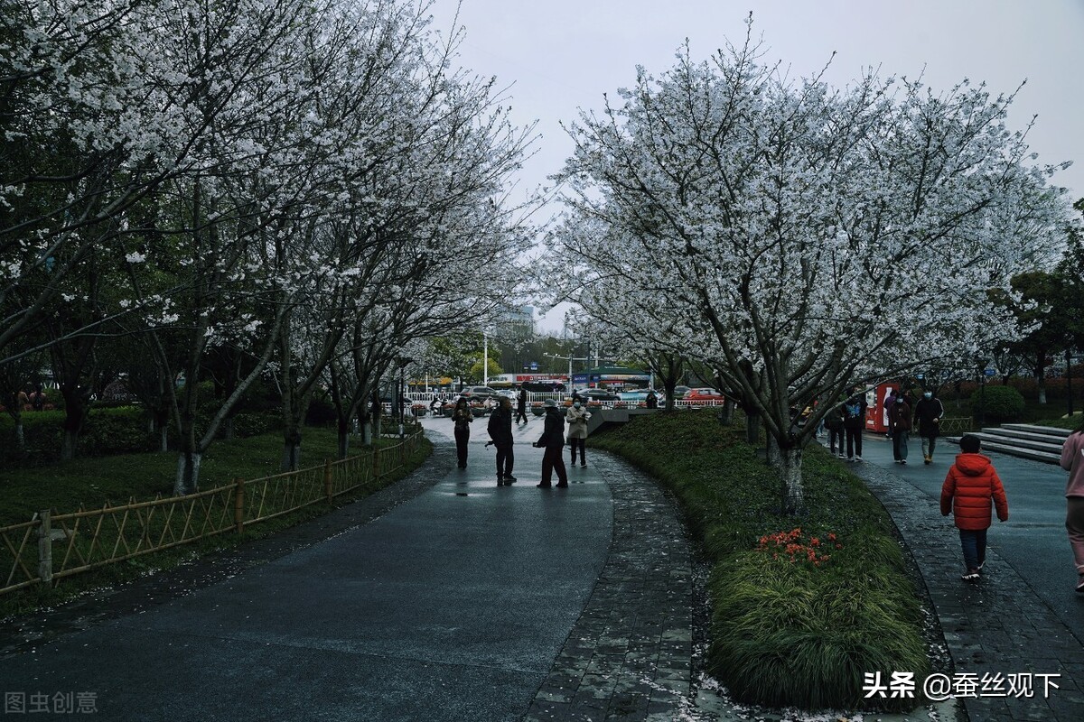 金华八个县经济排名,浙江省金华市经济怎么样