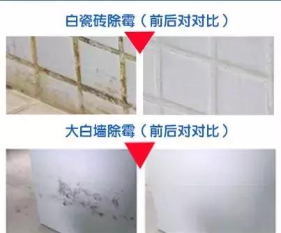 「服务」回南天如何让讨厌的霉菌滚蛋？小卡君教你一招