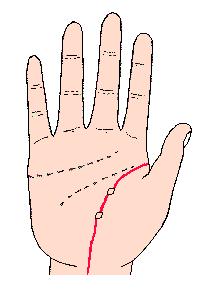 手相解密,手相掌纹分析学