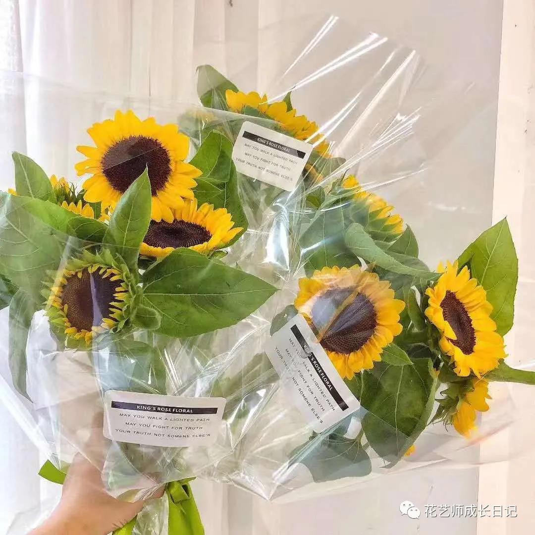 向日葵的高级搭配,每日一花百子莲