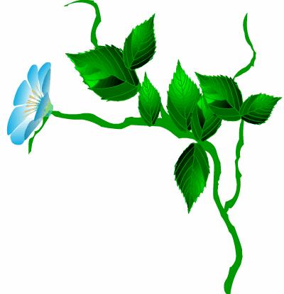 风中飘起歌词,风中飘起简谱