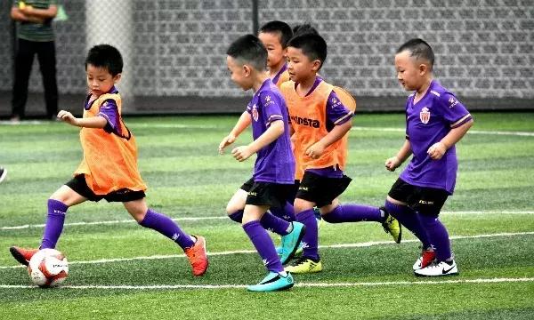 踢球吧少年鲁能杯,踢球吧少年免费全集