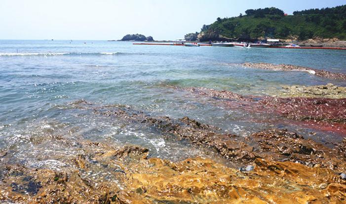 大连行程攻略,大连旅行攻略详细路线推荐图