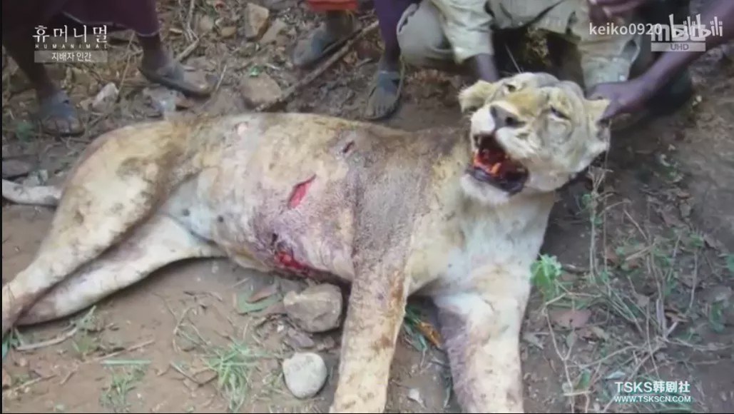 15岁怀孕，她被骗吃下*药炸**，一尸两命：有些人，这辈子不配为人