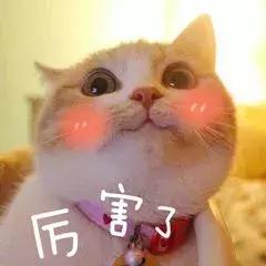 if函数例题,if函数精讲