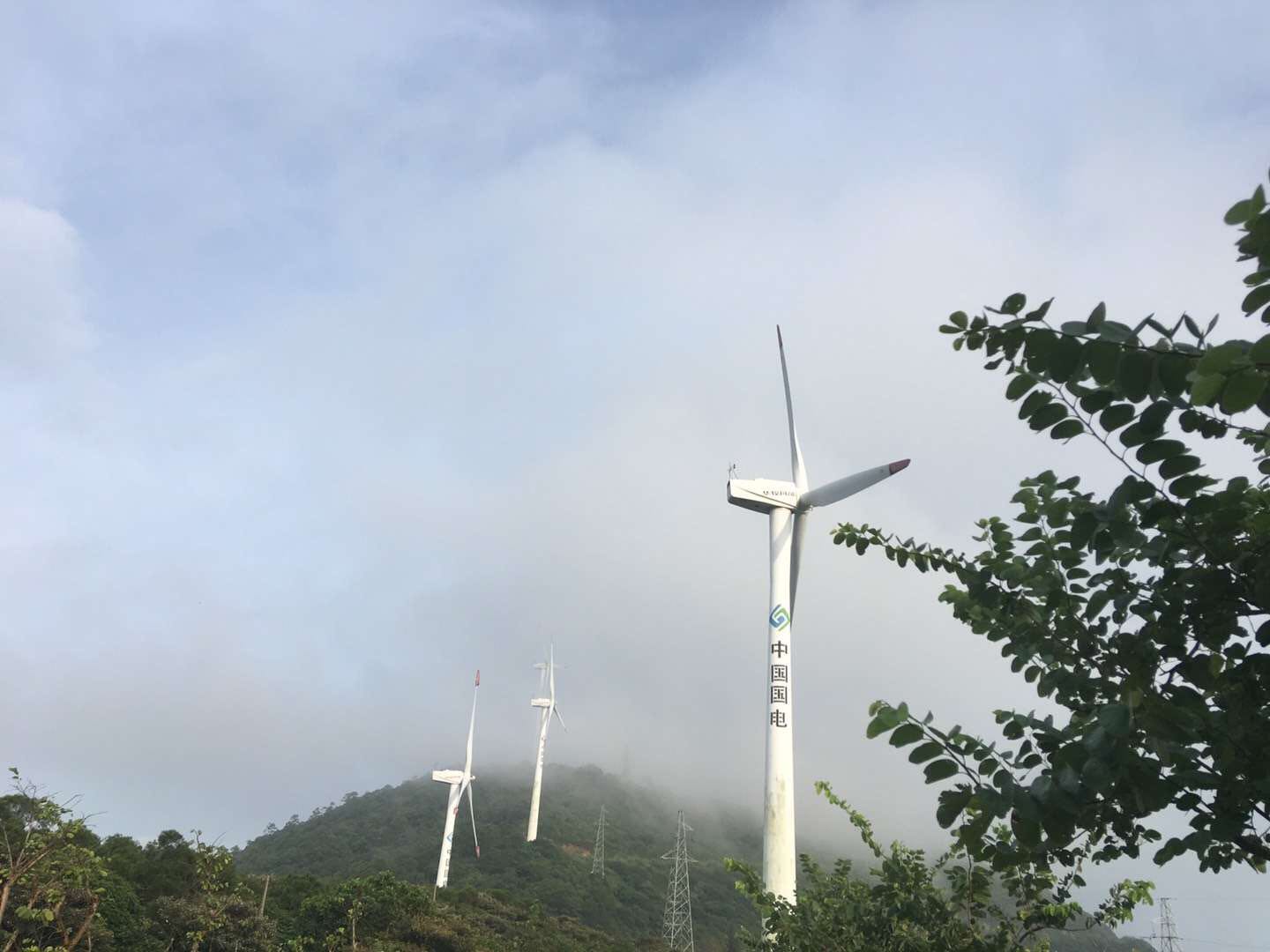 海陵岛闸坡渔港,海陵岛闸坡世界级渔港码头