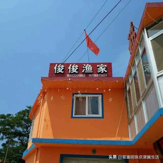 周末海边惬意的休闲生活,大钦岛俊俊渔家和兴达渔家哪个好