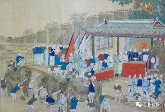 知文化|六月六全民洗晒日？你那里晒什么？