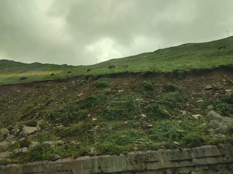 减肥日记day113,川西小环线过夹金山