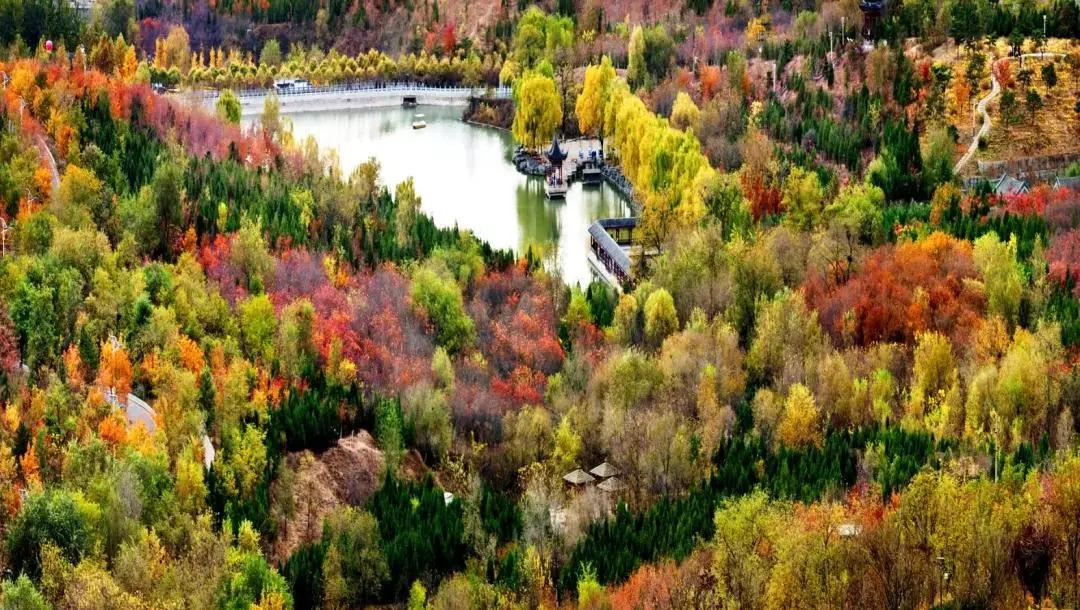 创森进行时丨立冬后，我把丰台的秋，收进了相册里