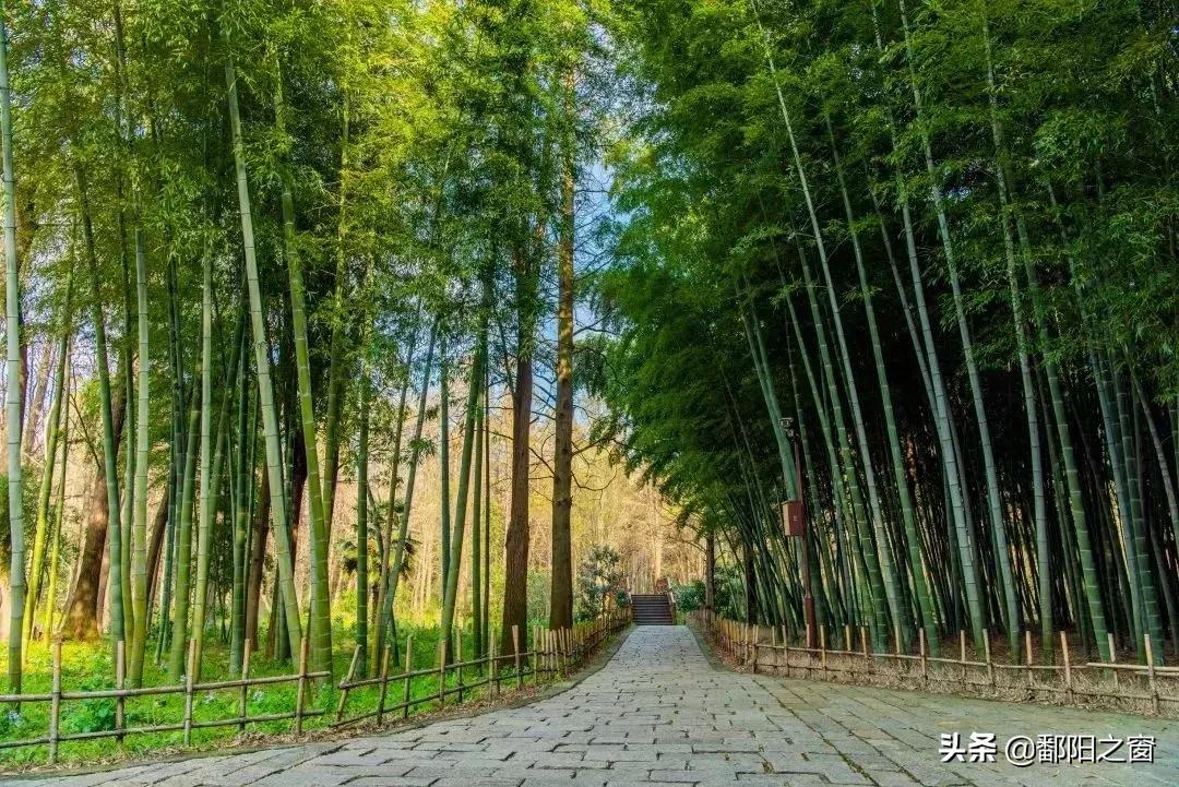 苏州同里附近好玩的地方推荐,苏州打卡同里古镇