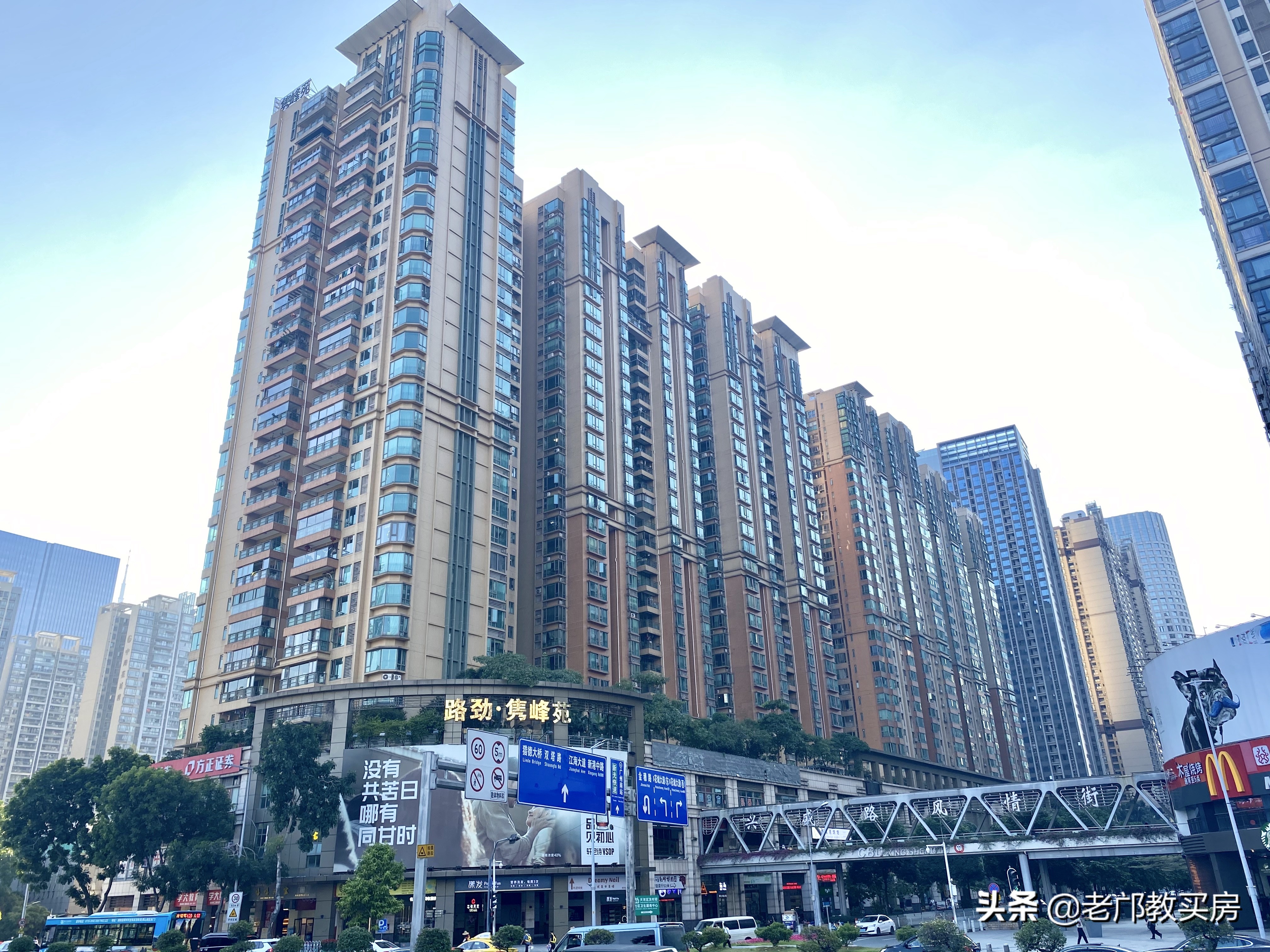 珠城花园最好的楼盘,珠城东区高端住宅区