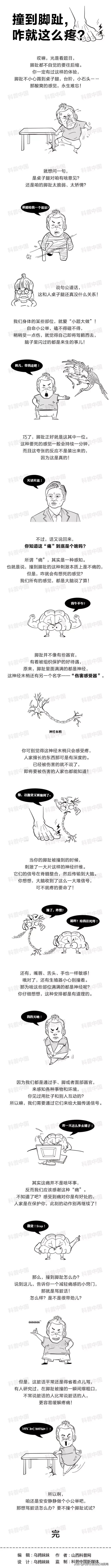 大脚趾肚偶尔钻心疼痛是什么原因,大拇脚趾边上肉钻心的疼是咋回事