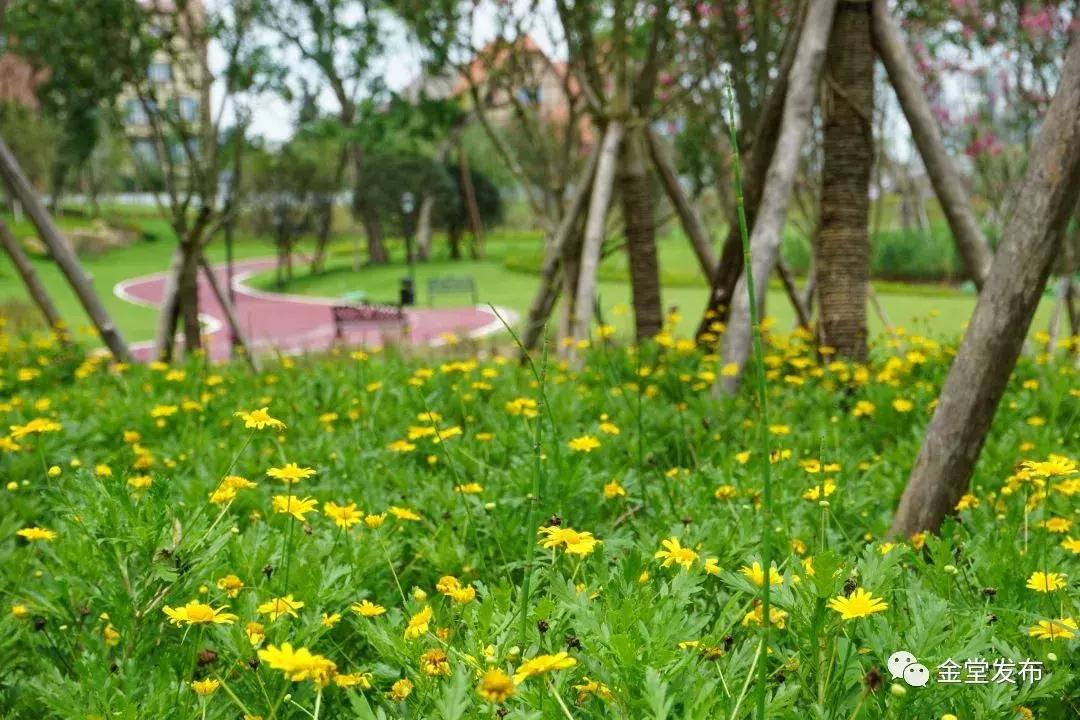 淮口镇是西部百强镇吗,淮口镇是不是中国百强镇