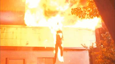 她是霸王花知乎全文,她是霸王花