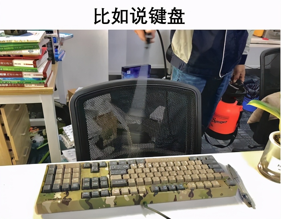 饮水机爬出蟑螂,饮水机老是有蟑螂进去怎么办