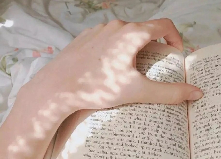 如何学好初中语文,如何学好初中语文课