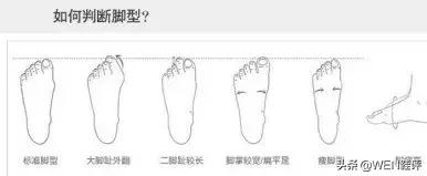干货来了知识点有哪些,新手入门穿什么球鞋最好