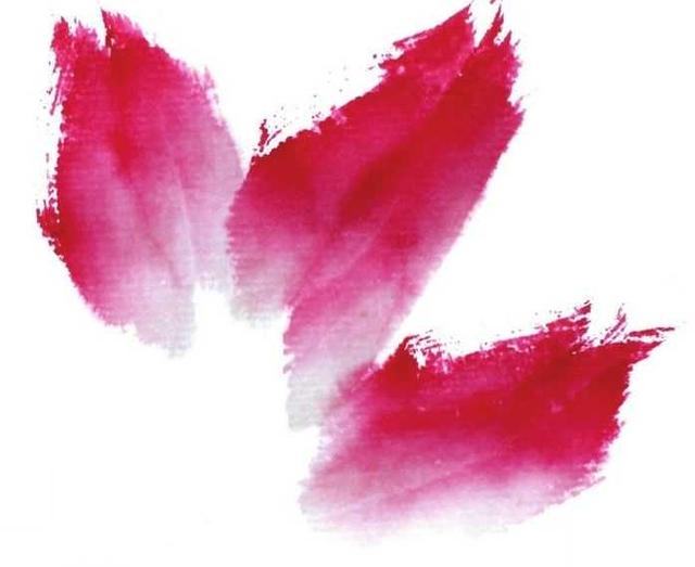 花卉国画教学视频,花卉画法教程中国画