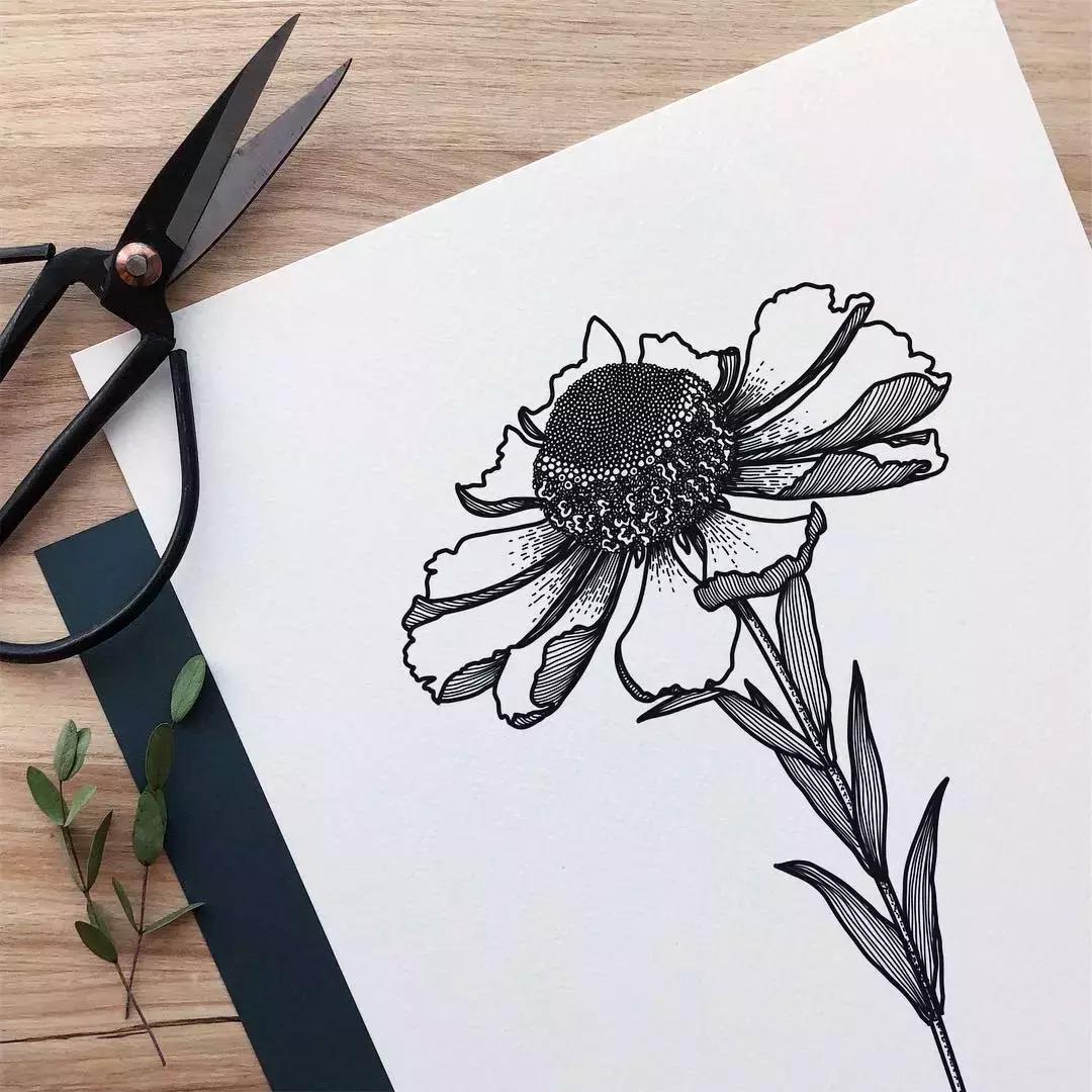 这一波手绘太给力了,绝对让你练完不厉害都难