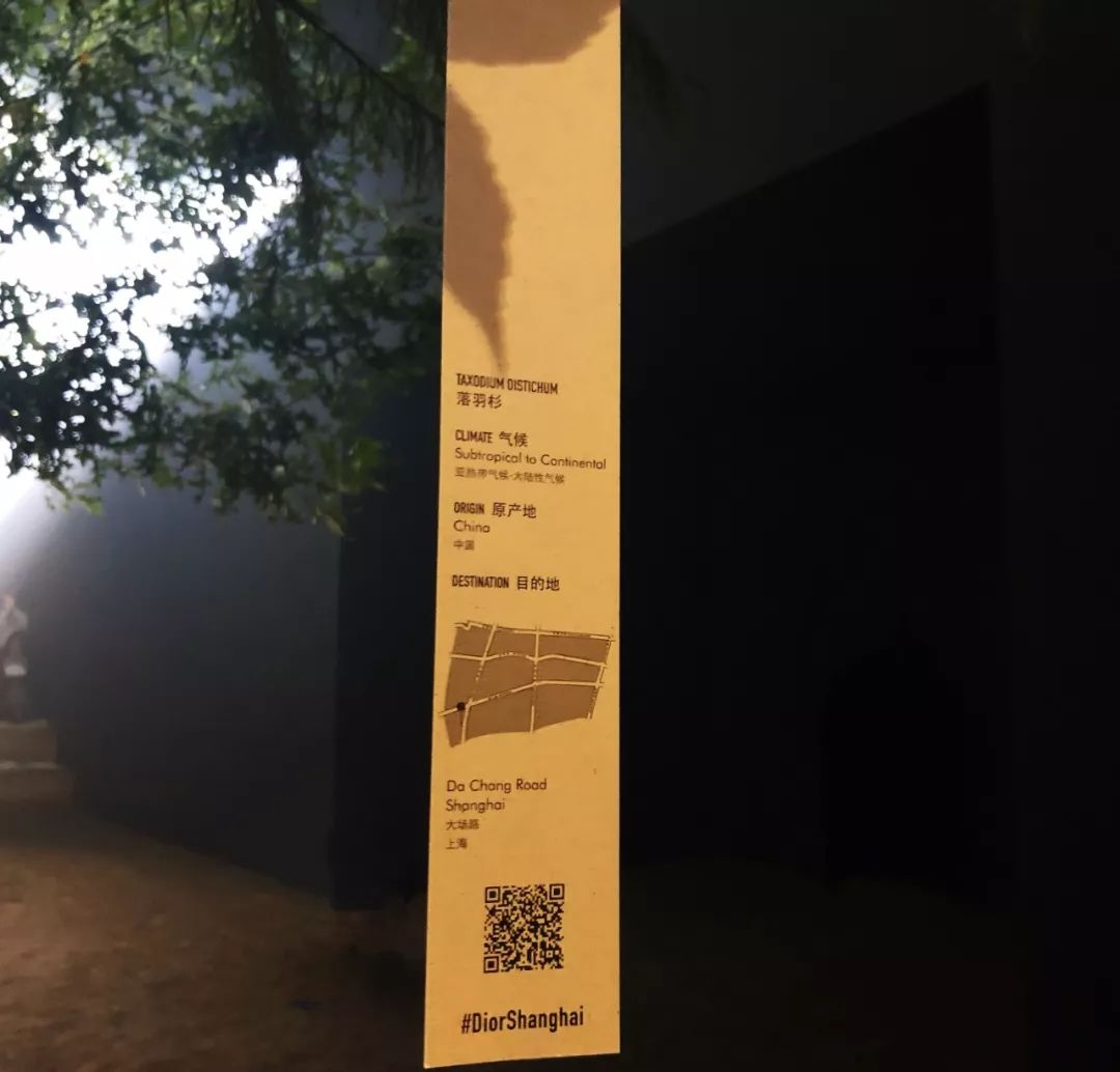 dior值得买的马鞍包是哪款,dior最好的十款包