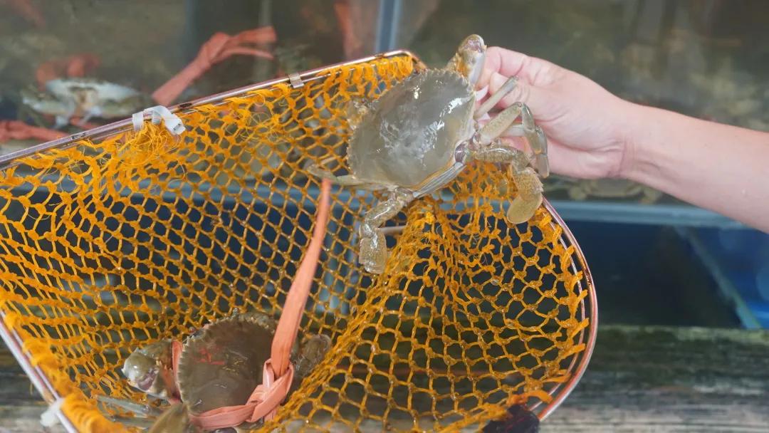 去菜市场吧！|黄沙，负名之下书尽鲜活百态
