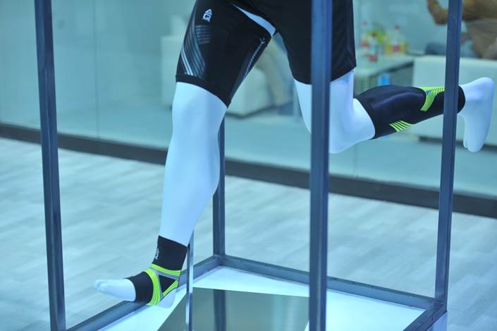 大牌齐聚体博会百家争鸣