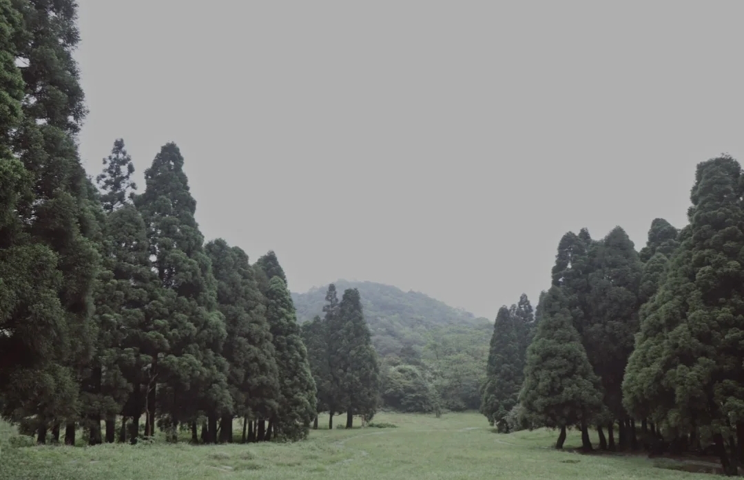 广西大容山森林公园,北流大容山森林公园露营
