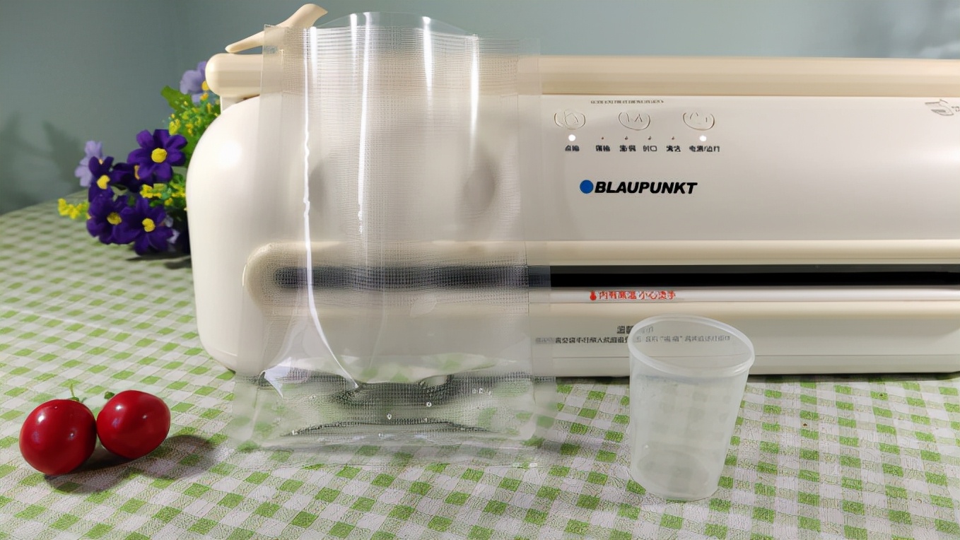 德国蓝宝原汁机清洗,德国蓝宝蒸汽清洁机厨房