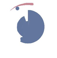 「择校指南28」2022西北政法大学新传考研