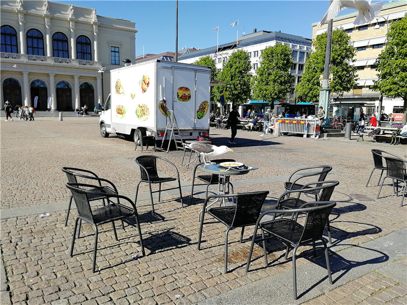 与Volvo同行奔跑在路上——哥德堡半程马拉松之旅（上）