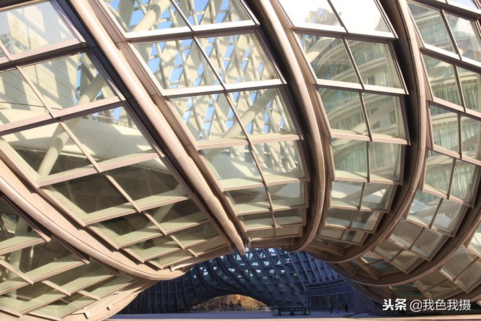 永诺35mmf1.4测评,七工匠35mmf1.4和永诺35mmf1.4哪个好